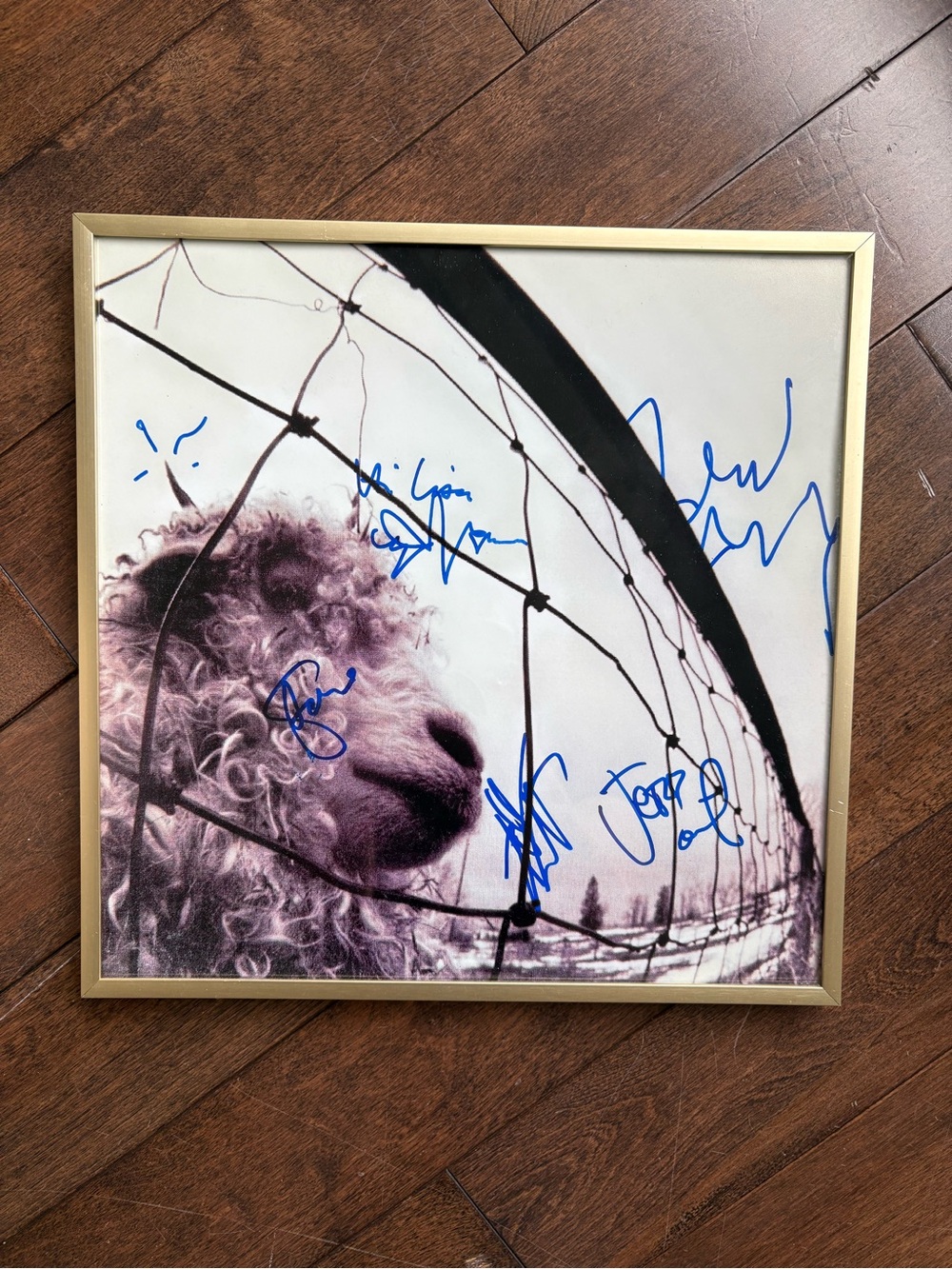 Framed Pearl Jam "Vs." Album Art Print - Facsimile Signatures (12x12)